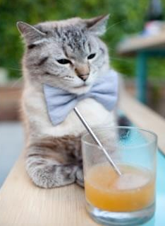 _球迷狂欢节：现场互动、签名会热情高涨_，球迷的疯狂举动