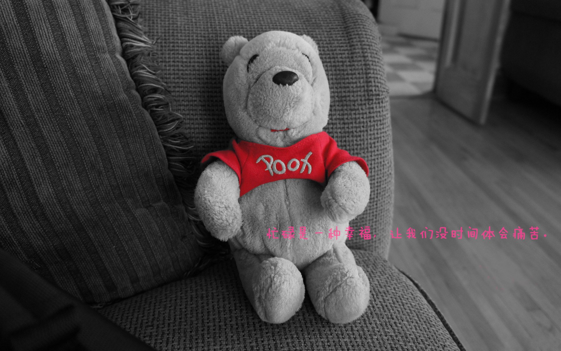 “中国女足国际比赛作战计划悉数公布,备战世界杯”,女足国内联赛