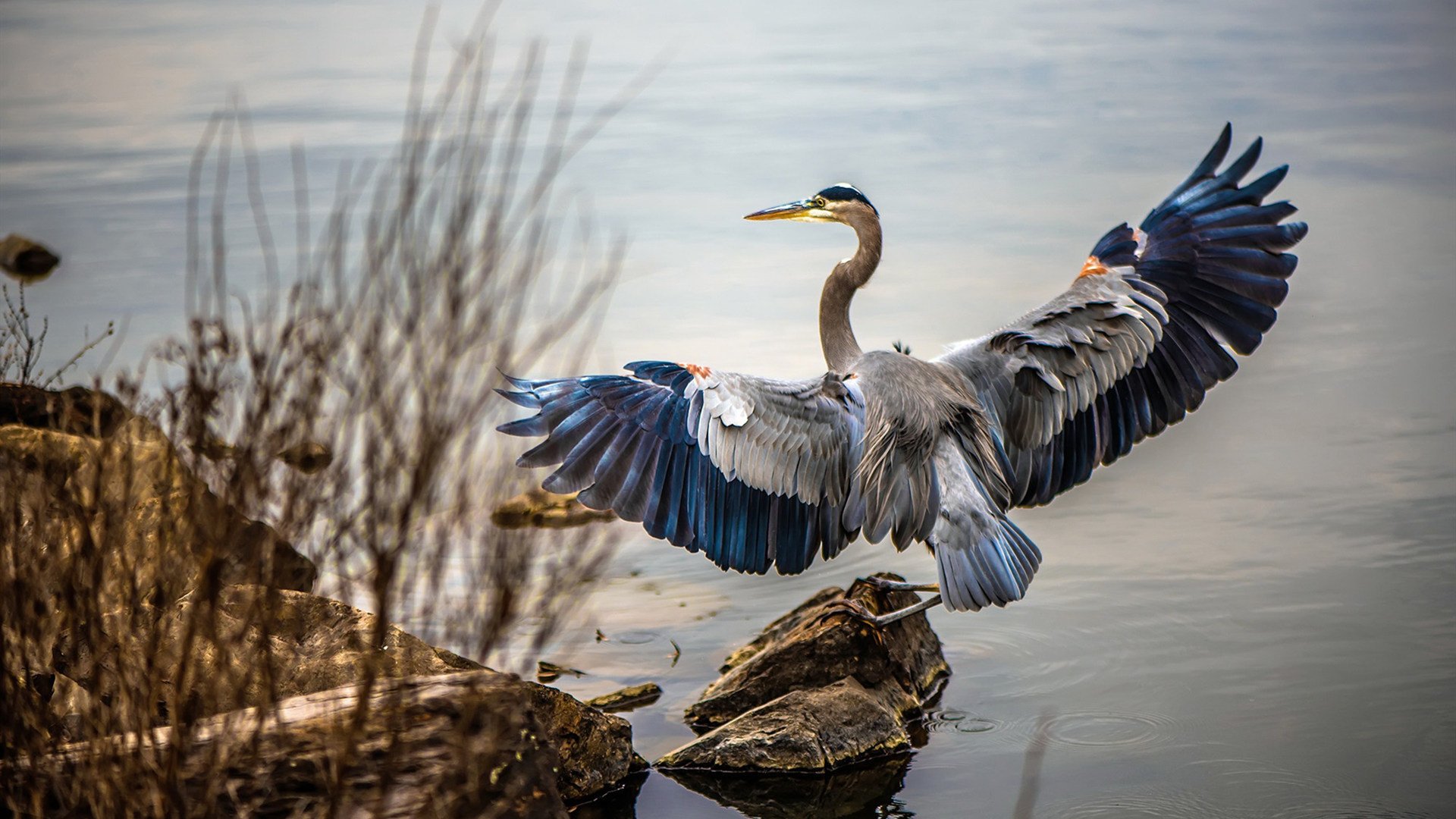 AYX体育官网-“世界巡回：穿越五大洲的极限速度之旅”