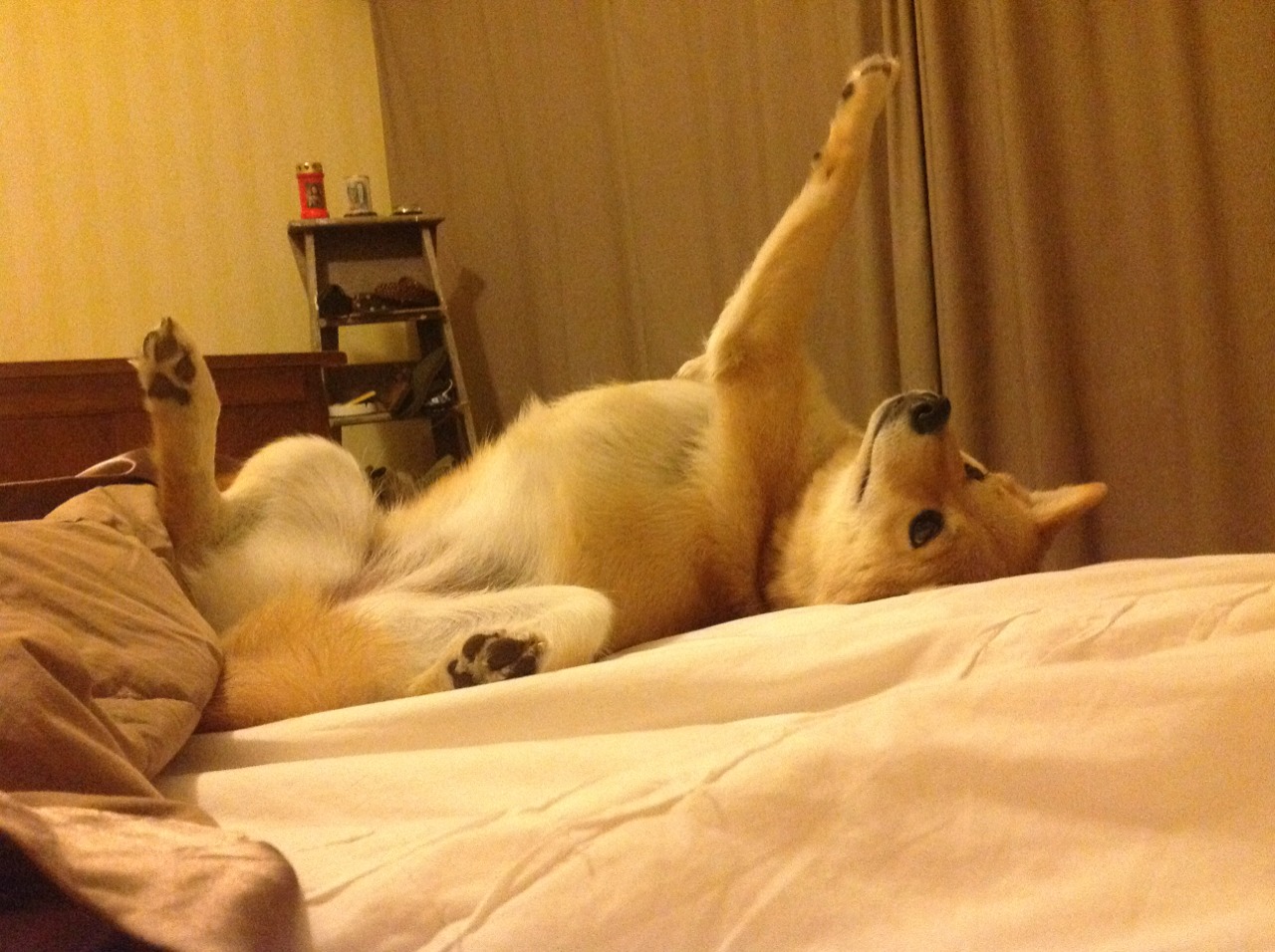 “西甲赛场热血沸腾:激情对抗不断升级”,西甲视频集锦