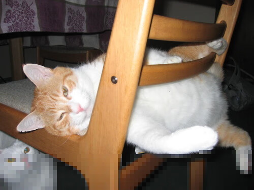 “青训联盟签署战略合作协议,推动全国青少年足球一体化发展”