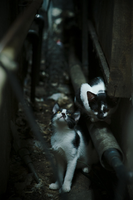 中国足球国际影响力持续增强,交流合作不断深化,影响中国足球是足协吗