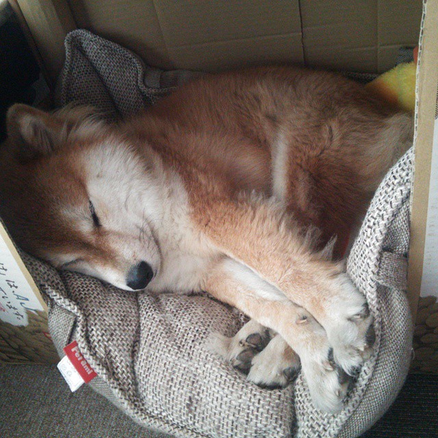 爱游戏娱乐-体育+文化融合创新，推动青少年多元发展新格局，体育文化的融合