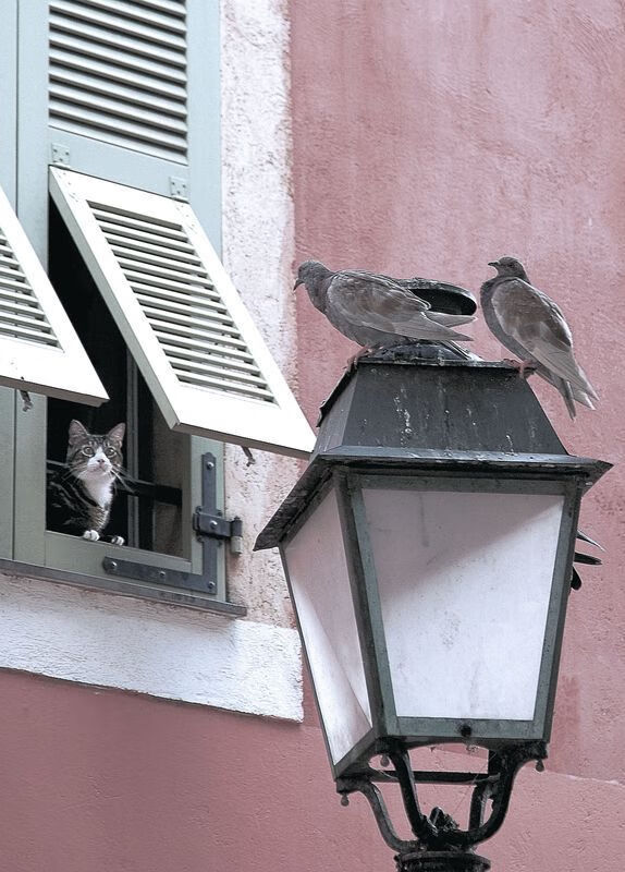 全国青少年“环保篮球公益赛”在兰州持续火热,践行绿色发展理念