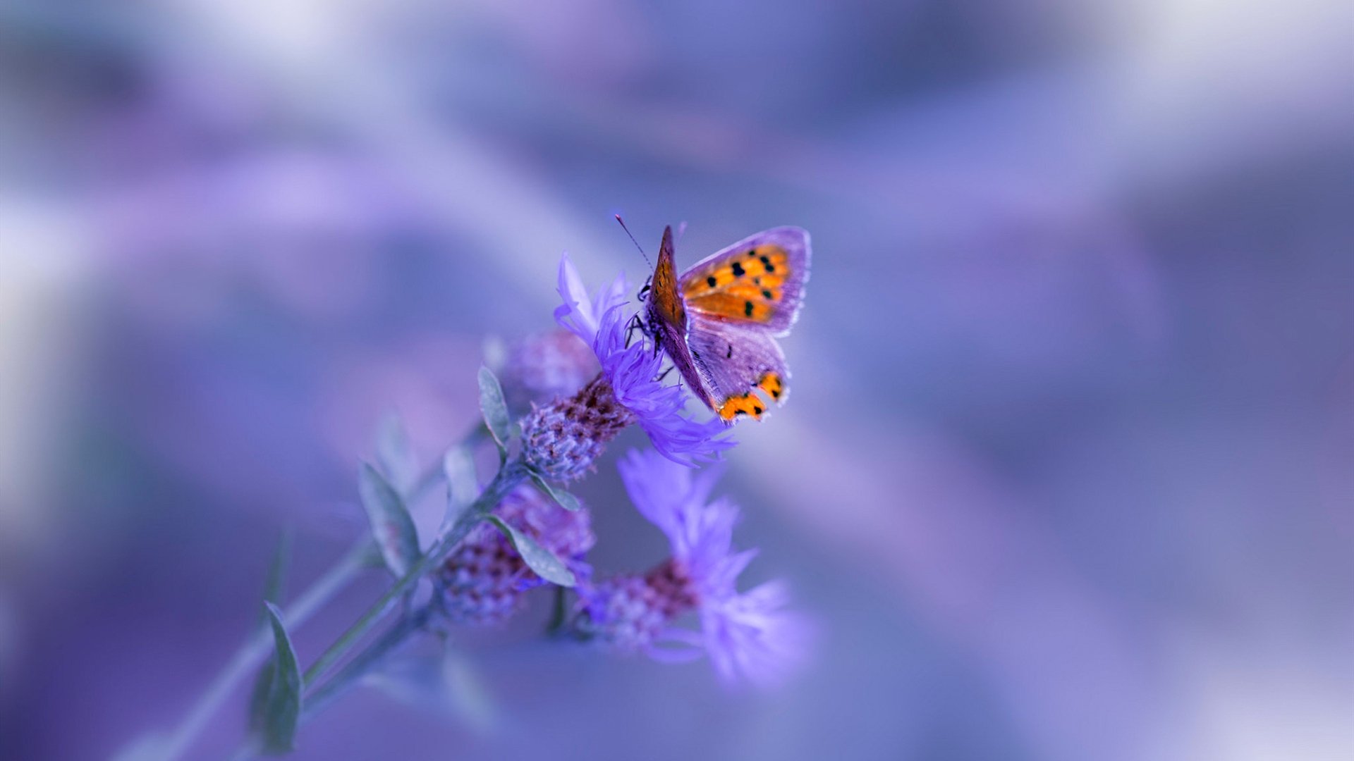 爱游戏 电竞-勇士与湾区高校共建数据科学实验室，用于战术研究