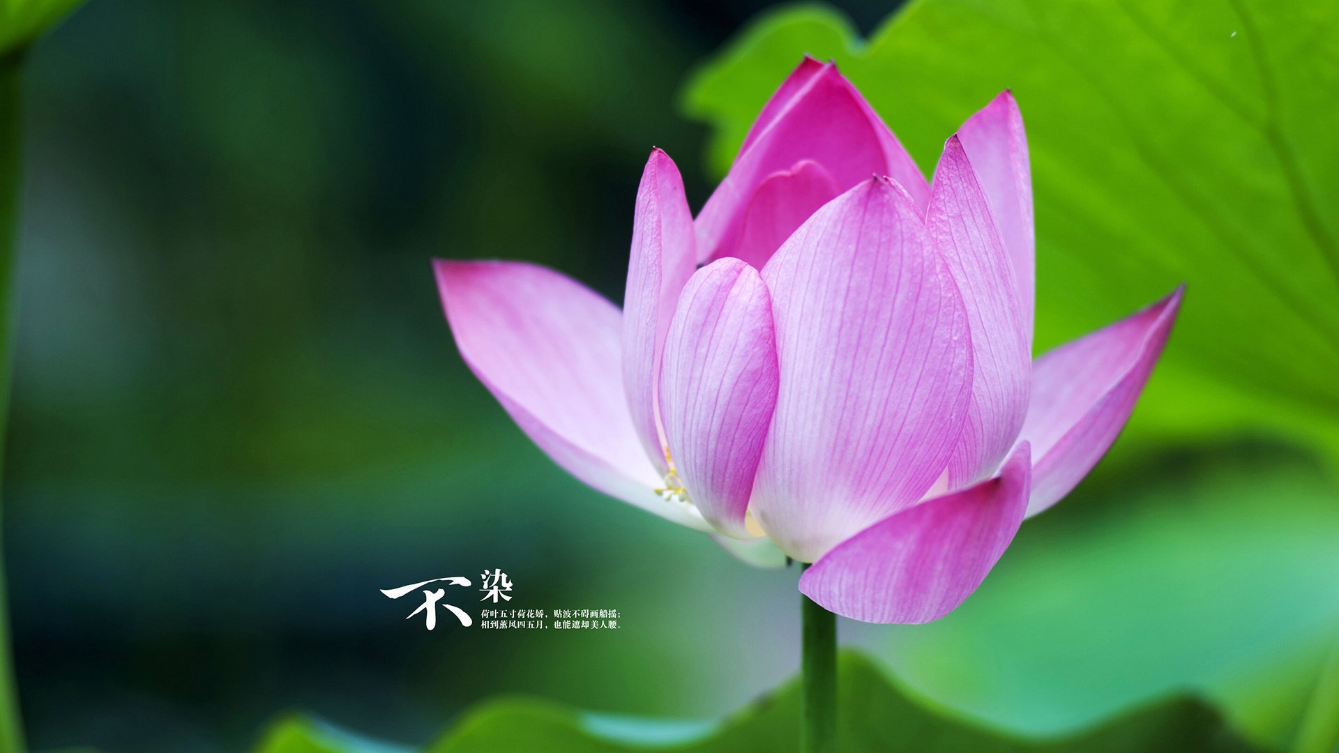 世界拳击锦标赛落幕，中国男队获两金一银，全国拳击男子锦标赛