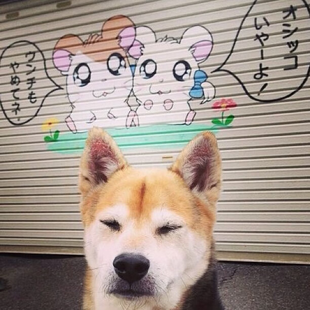 医疗团队是否对战绩起决定性作用，医疗团队的特性