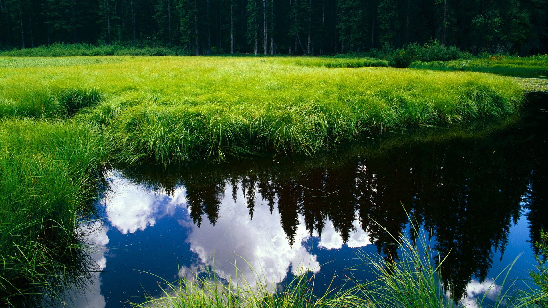 AYX GAME-南安普顿主场告负，保级形势岌岌可危，南安普顿球场简介