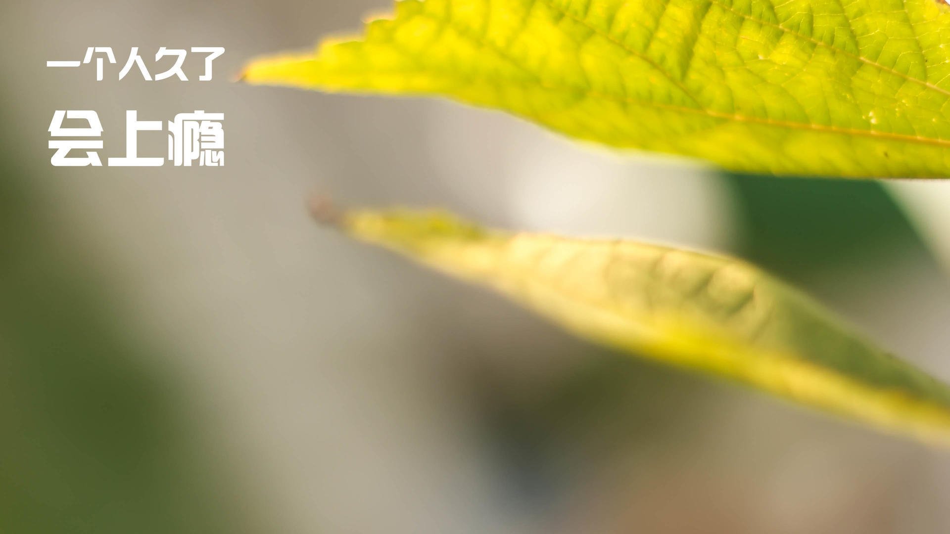 爱游戏-意大利劲旅签下潜力边锋，冲击联赛头名，意大利jc