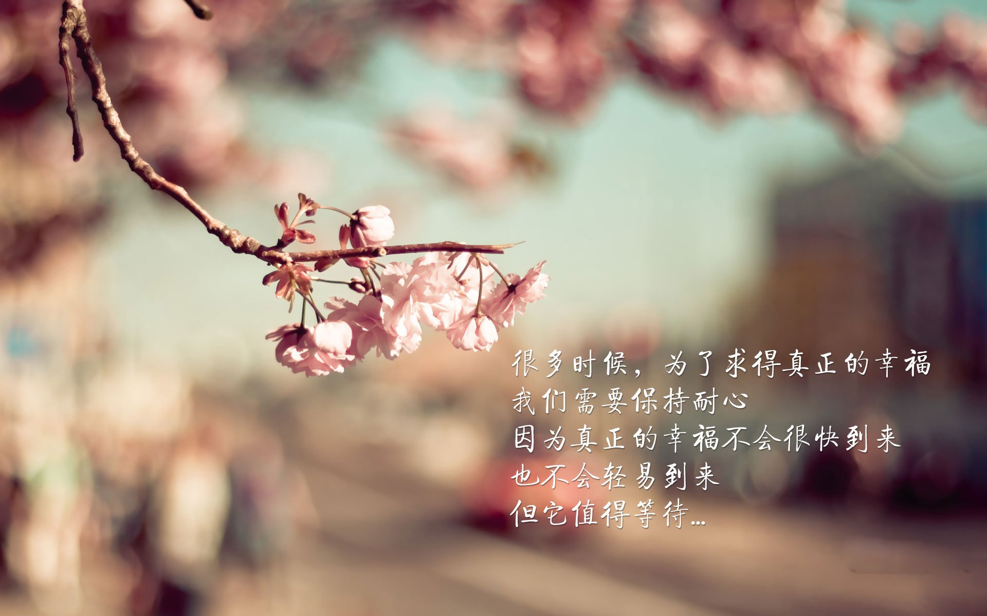 爱游戏官网-曼城势不可挡，擒敌如拾芥轻松进军四强，曼城silva