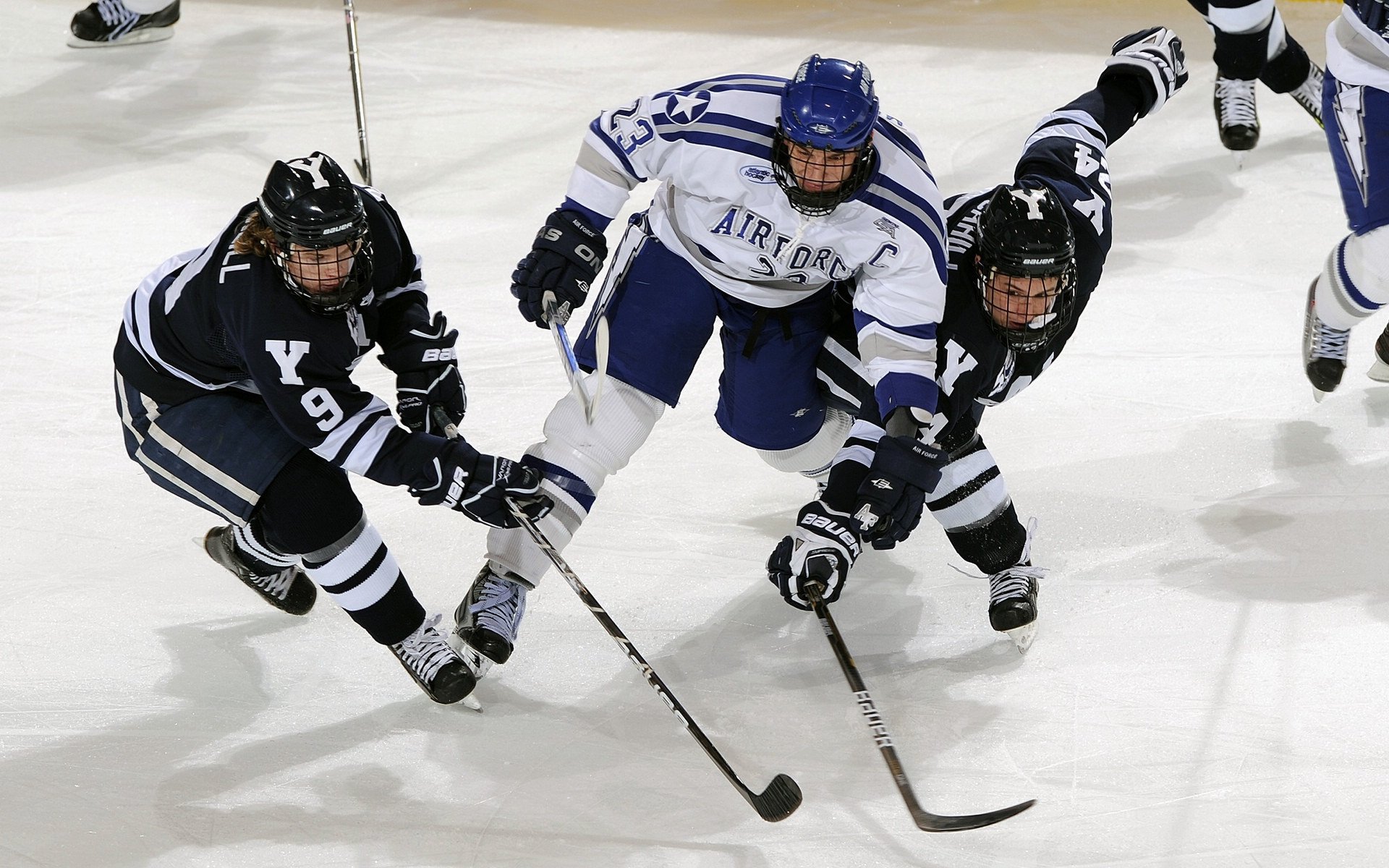 绿茵场上王者之争，欧冠赛场豪门对决，欧冠 豪门
