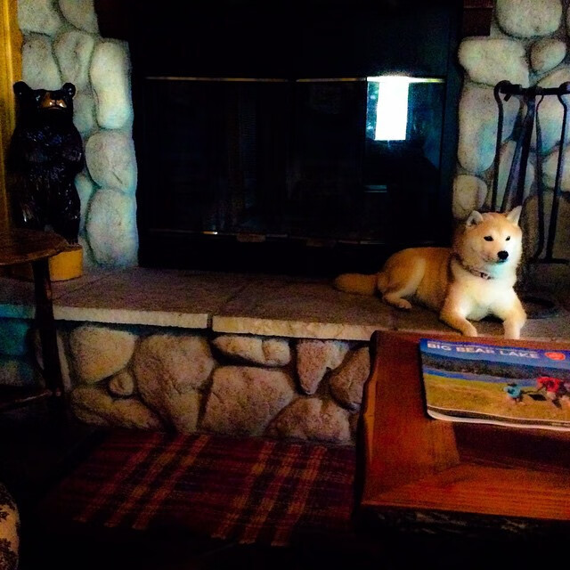 爱游戏体育平台-西班牙大将连失两球，负于捷克保级希望渺茫，西班牙队名将