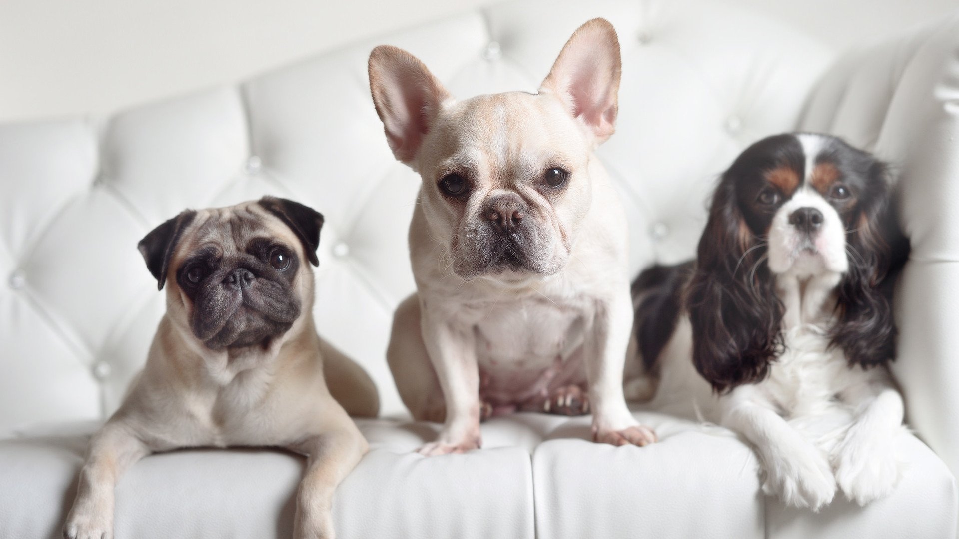 阿斯顿维拉客场平局,稳定发挥,球队保持不败状态,阿斯顿维拉首发