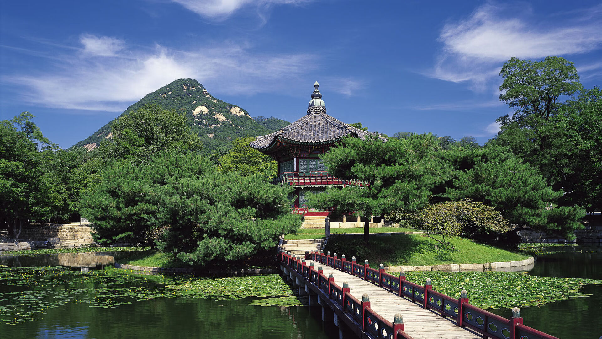 中小学生运动兴趣发展阶段特点与教学对策研究，中学生的运动兴趣