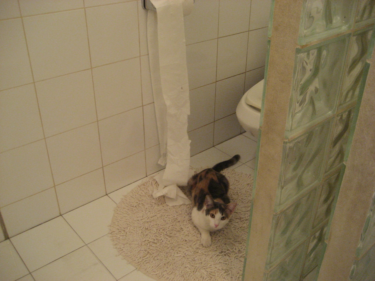 英超球员视觉追踪训练提升场上决策速度的探索,英超专家分析