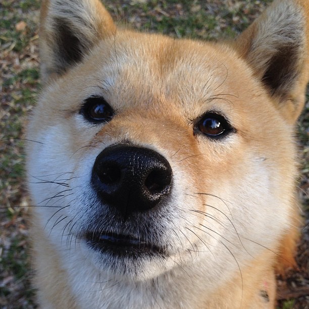 2024年国际乒联混合团体世界杯赛制深度解析,2024世乒赛在哪