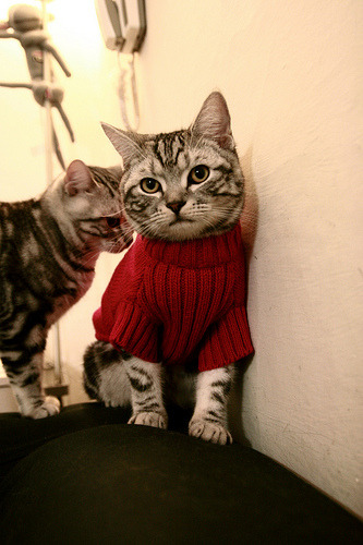 中国足球迎战世界杯预选赛 激烈对决引爆全场,中国足球队世界杯预选赛战况