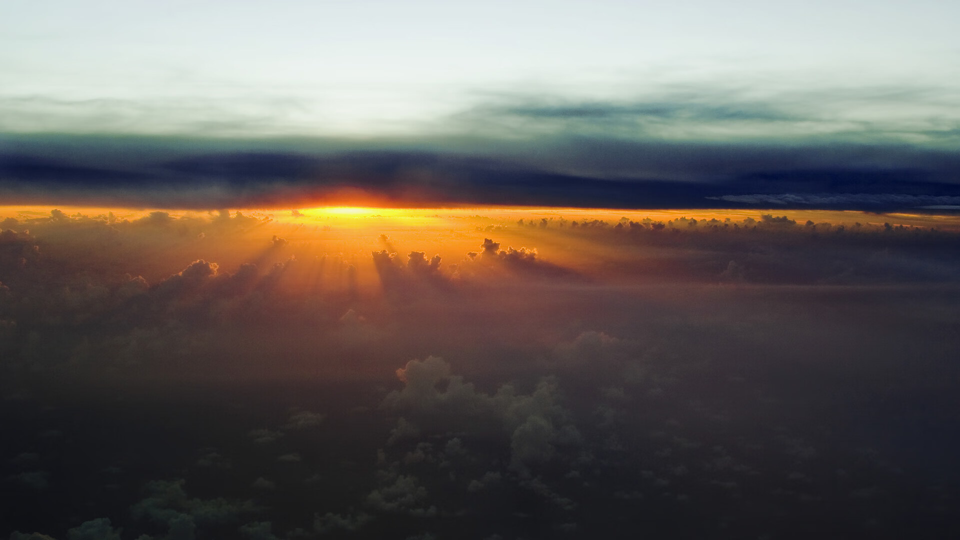 青训体系专业化水平较低，青训体系是什么