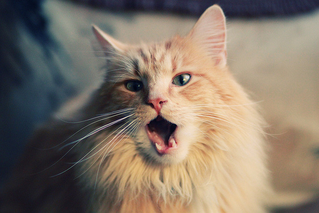 AI智能分析辅助球队战术制定，战术多元化升级