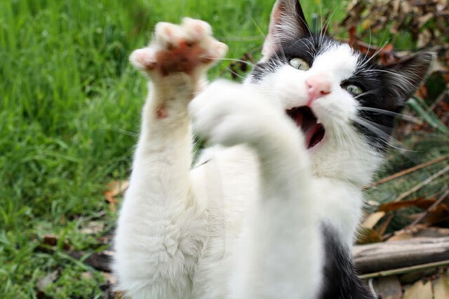 中国足球联赛赛场安全保障措施升级，全国足球赛区安全秩序规定