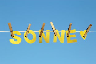 AYX GAME-体育新闻中心公告全国夏季赛事气象应急预案，赛事应急预案模板