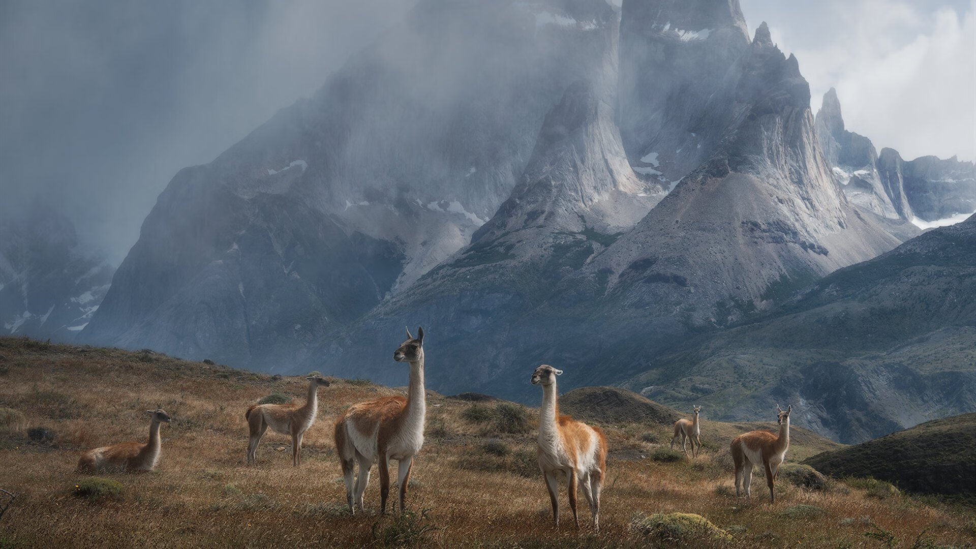 夺冠希望仍在球队全力以赴争取最好结果，希望夺冠的成语