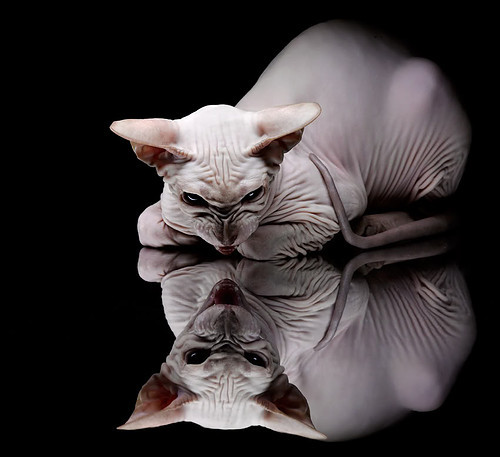 AYX体育-马刺主场更衣室翻新提升设施舒适度，马刺队更衣室格言